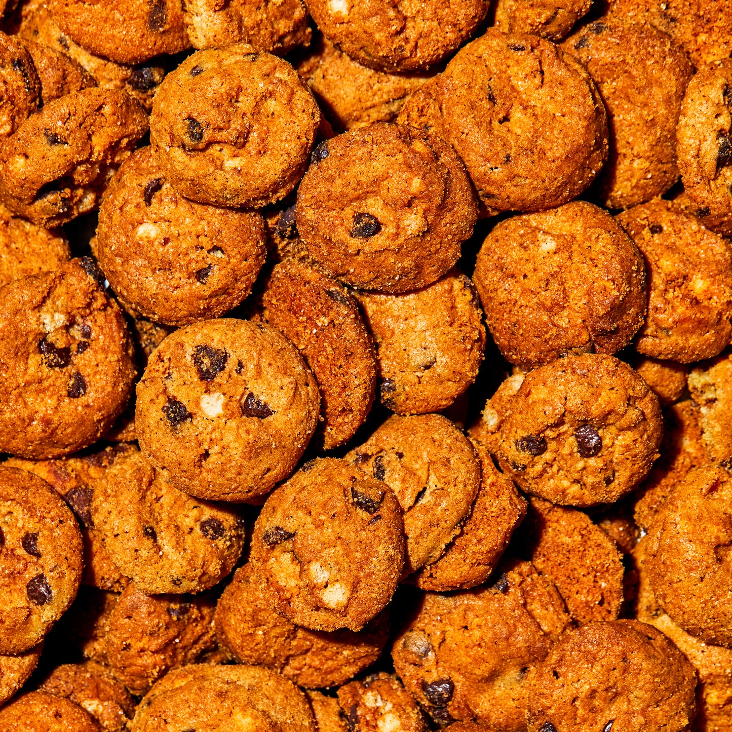 overhead macro view of a large pile of pretzel-y chocolate chip super crunchy cookies