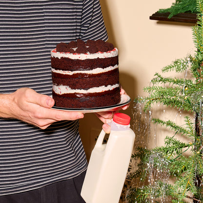Peppermint Bark Cake