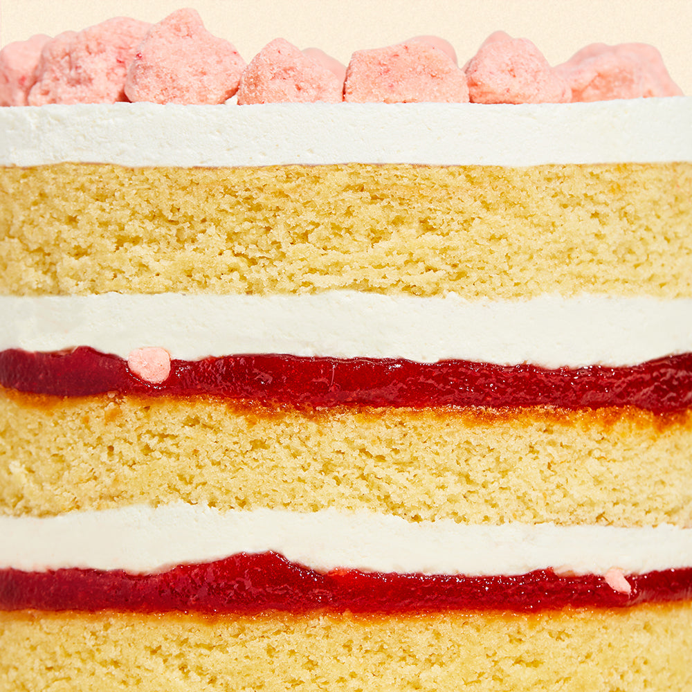 Macro side view of the layers and fillings in the 6 inch strawberry shortcake cake.
