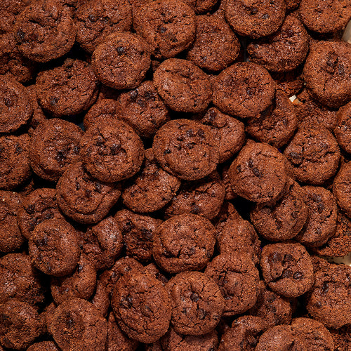 Double Chocolate Chip